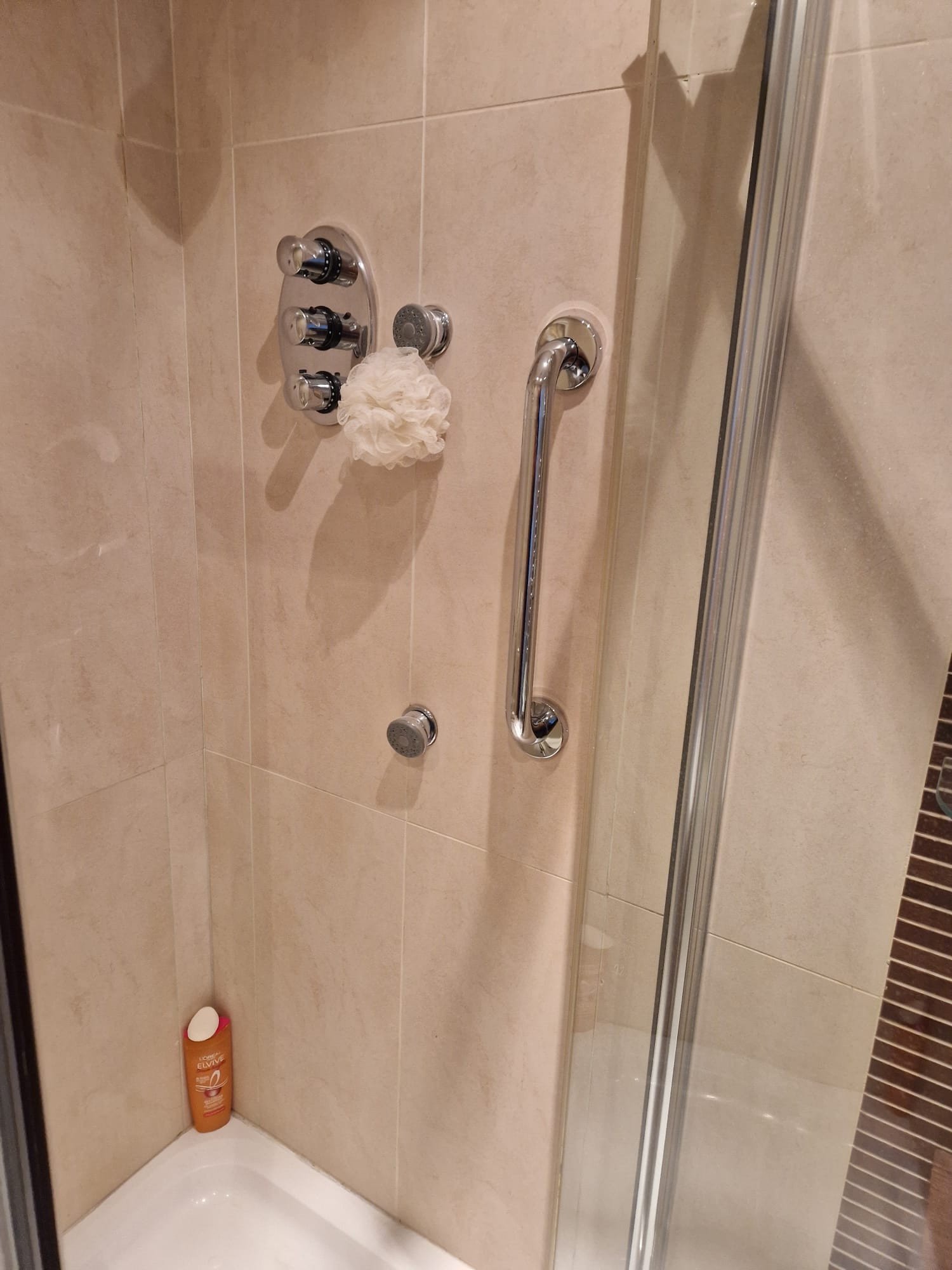 grab rail inside a shower